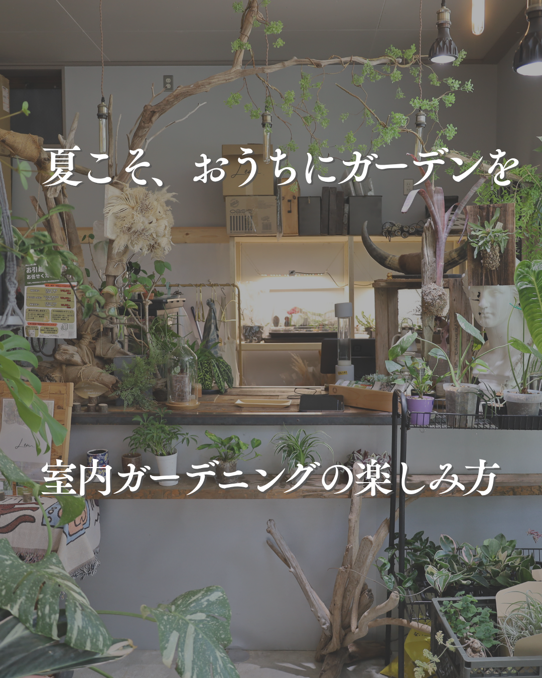 インスタグラム「夏こそ、おうちにガーデンを　室内ガーデニングの楽しみ方」を更新しました！