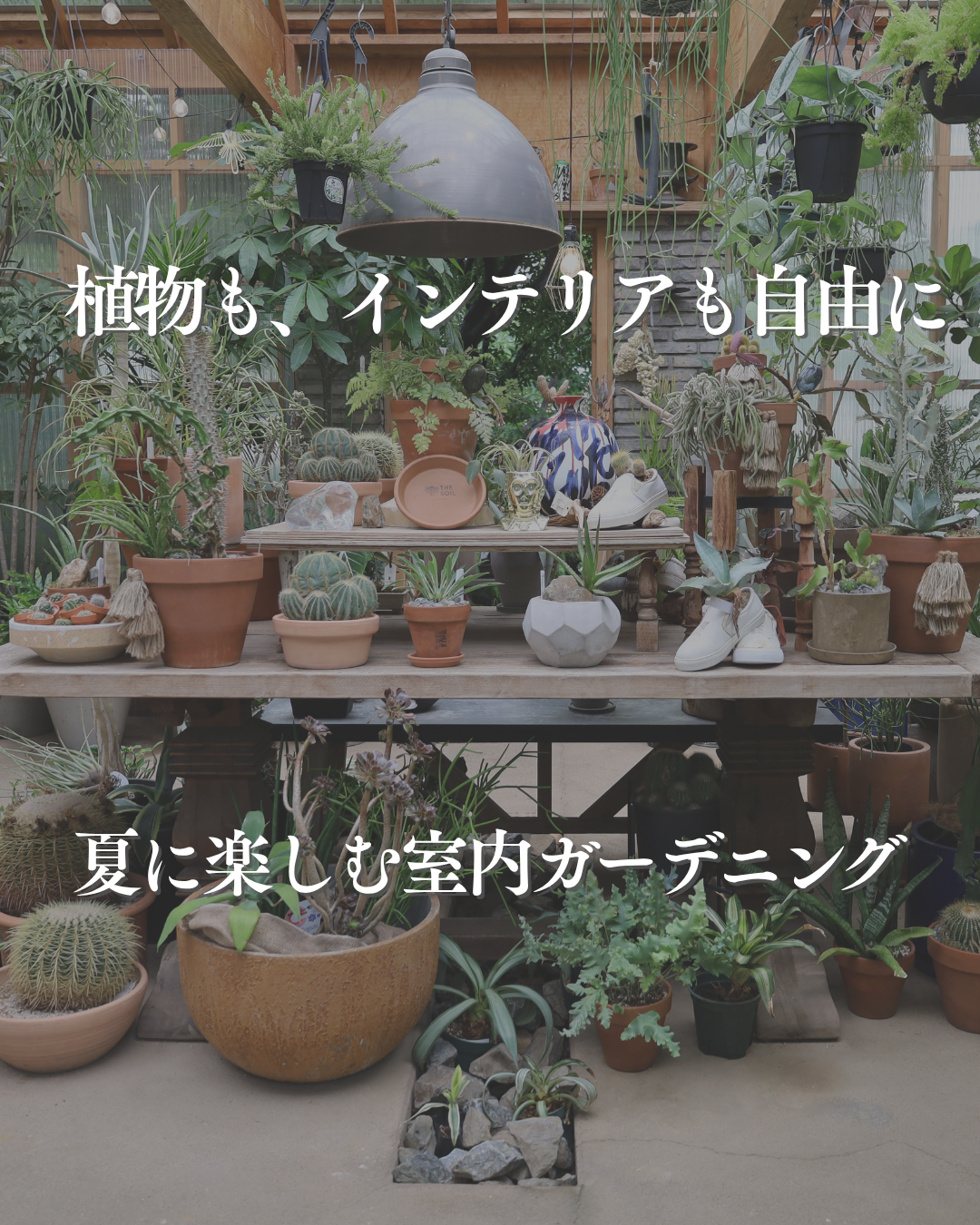 インスタグラム「植物も、インテリアも自由に　夏に楽しむ室内ガーデニング」を更新しました！