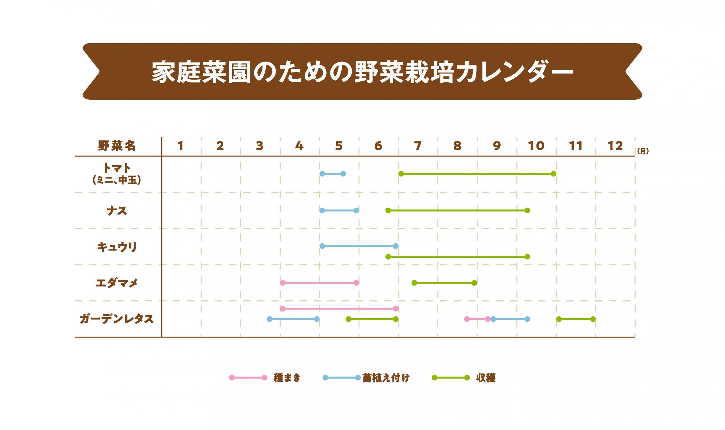 家庭菜園で野菜作りに挑戦しよう 山梨のマイホームづくり応援サイト ジタクのシタク