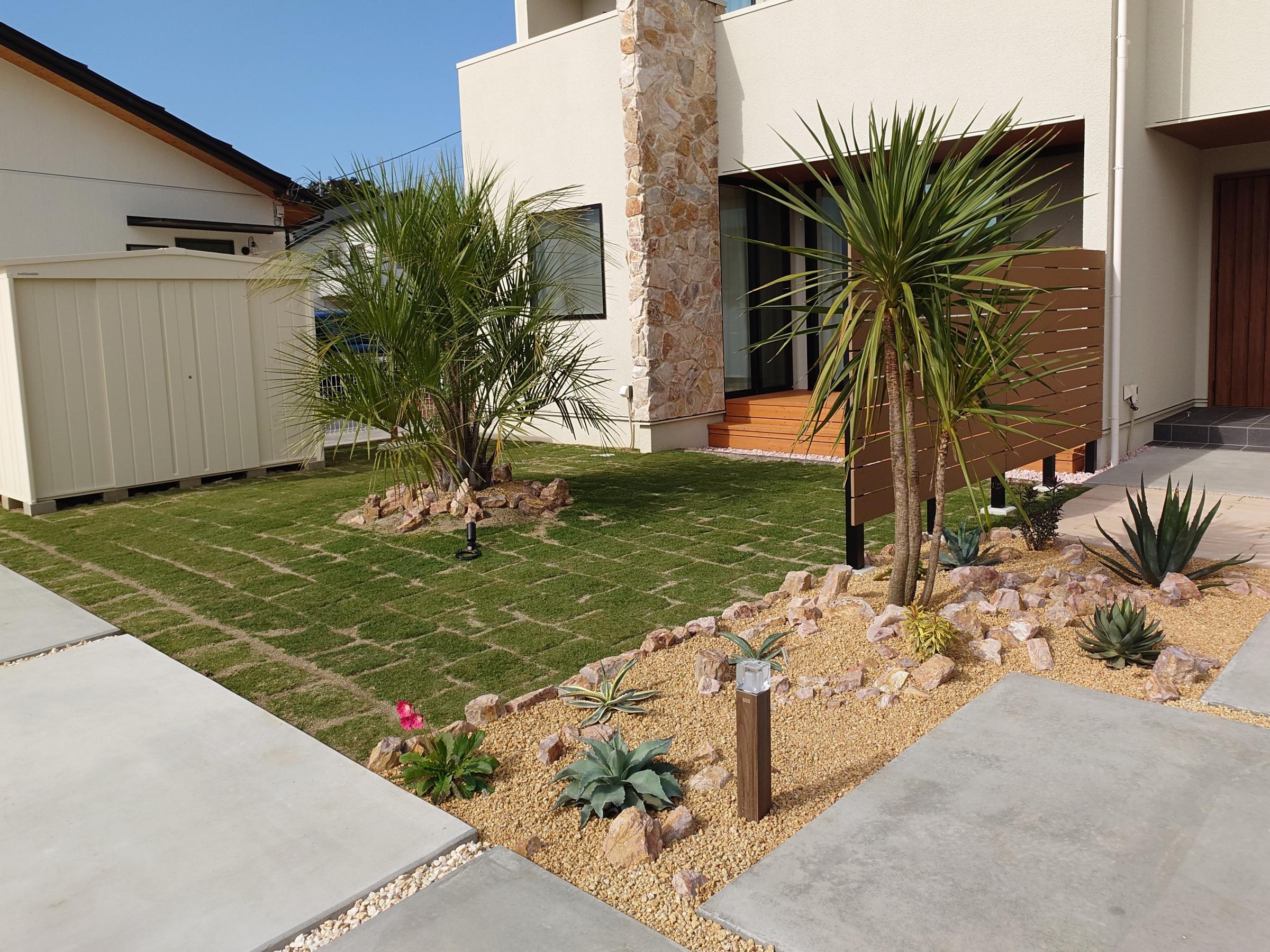 ③ 大きめ 文鳥丸 ドライガーデン サボテン 地植え 金鯱 サボテン 